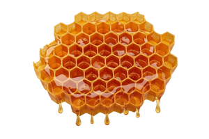 Honeycomb