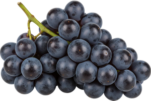 Montepulciano Grapes